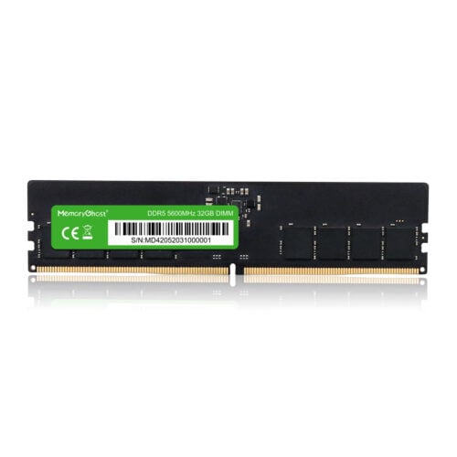 P300 DDR5 Memory Module Unbuffered LONGDIMM Product Display 1