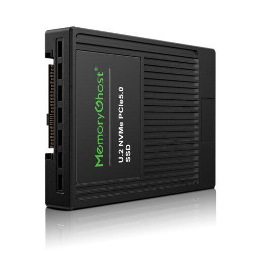 OE300 PCIe 5.0 NVMe Enterprise SSD Product Display 2