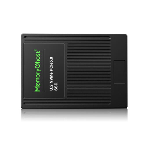 OE300 PCIe 5.0 NVMe Enterprise SSD Product Display 1